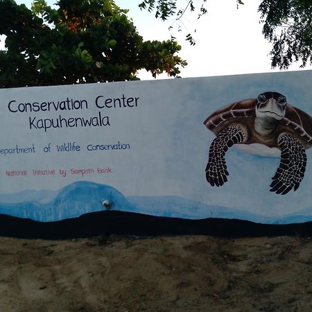 Jasmin Homestay Marakolliya Tangalle Esterno foto