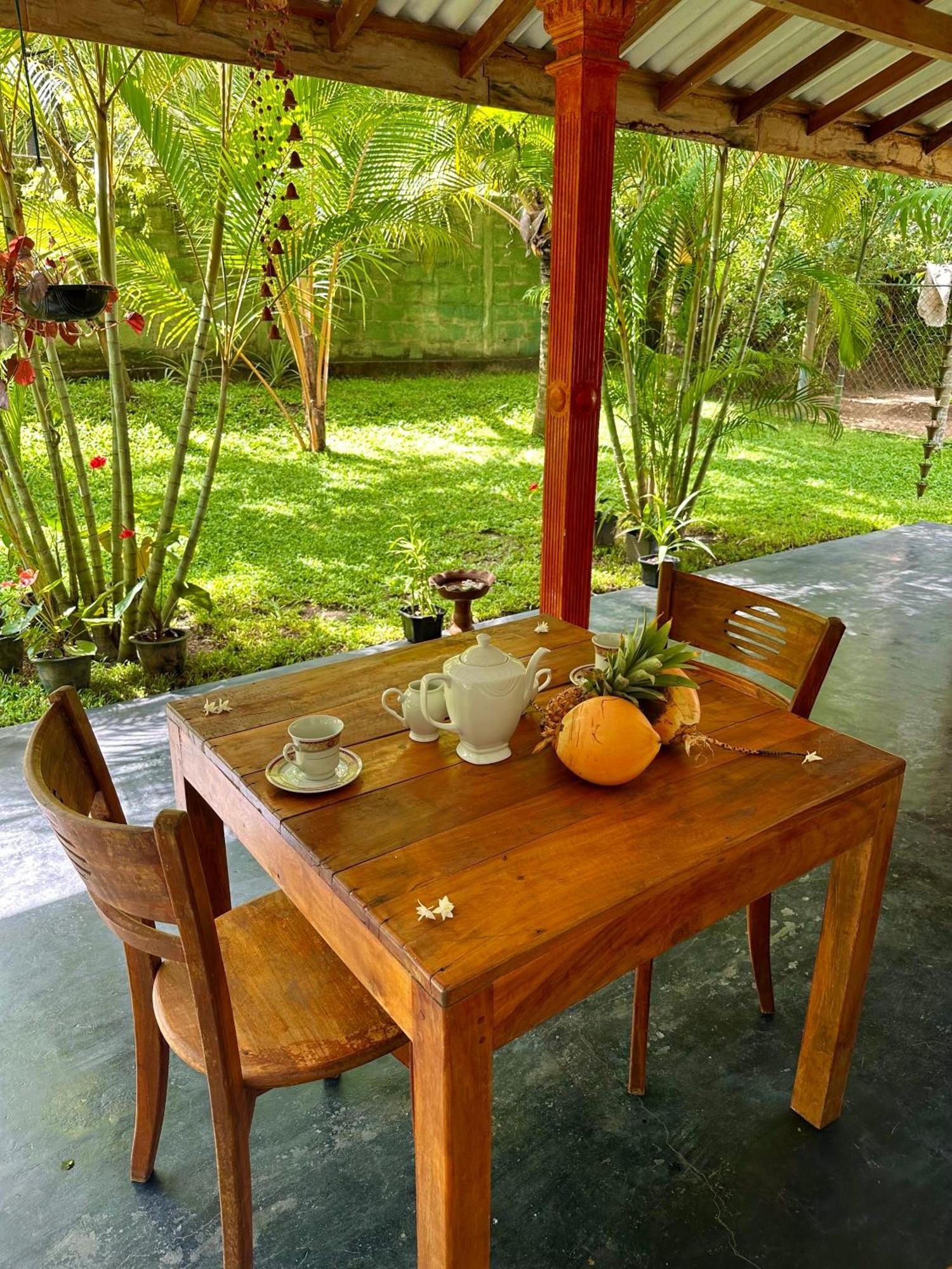 Jasmin Homestay Marakolliya Tangalle Esterno foto