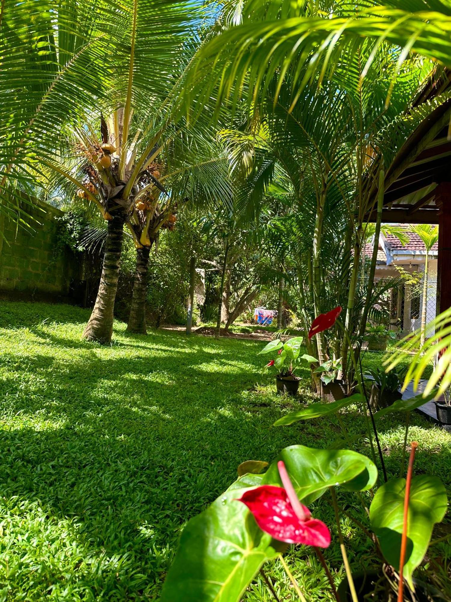 Jasmin Homestay Marakolliya Tangalle Esterno foto