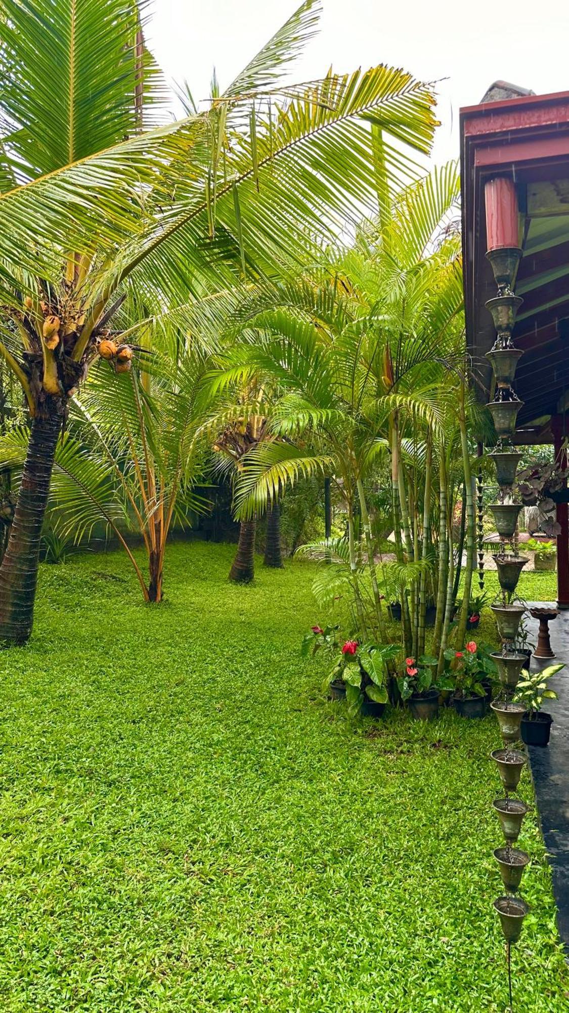 Jasmin Homestay Marakolliya Tangalle Esterno foto