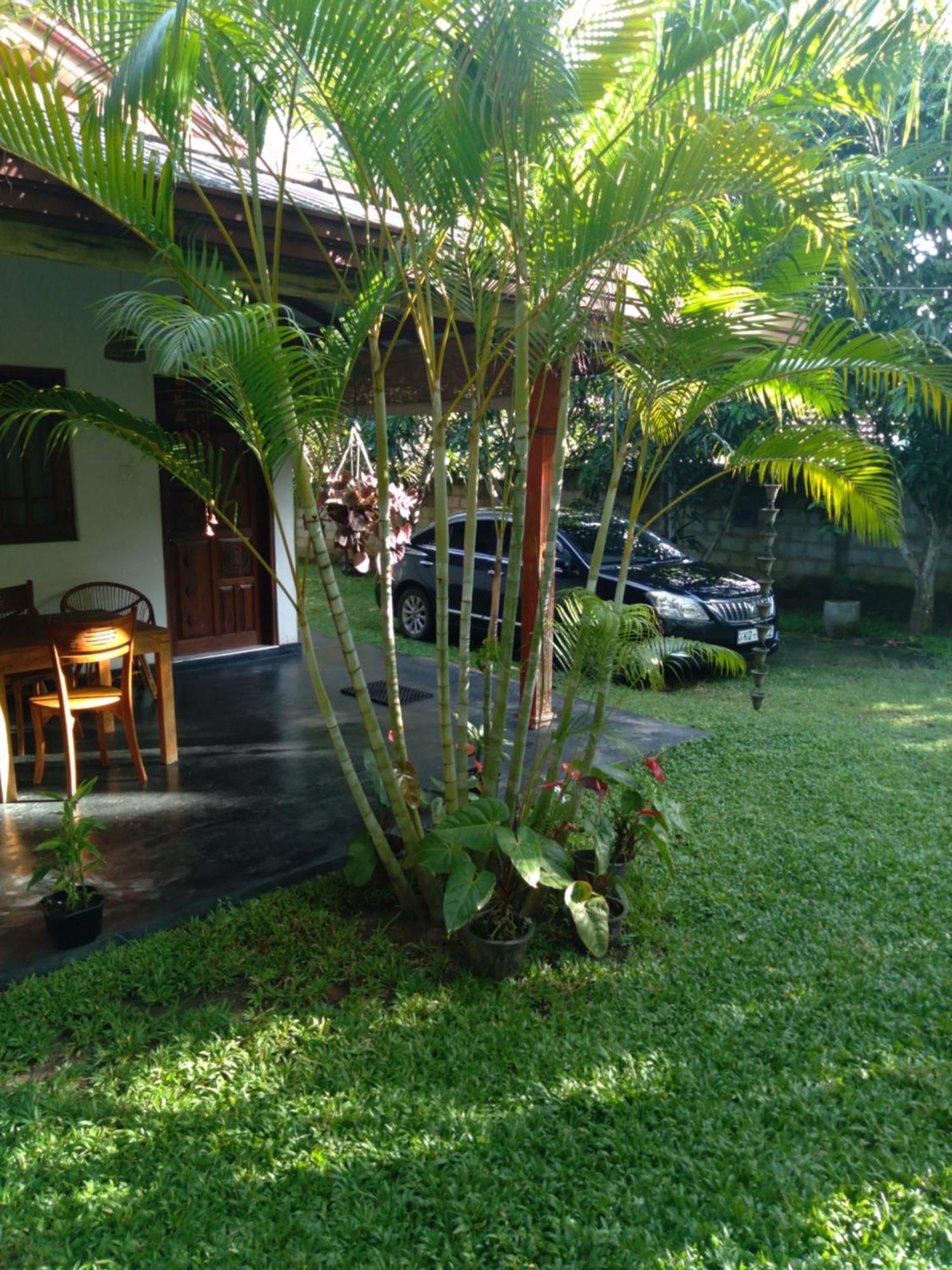 Jasmin Homestay Marakolliya Tangalle Esterno foto