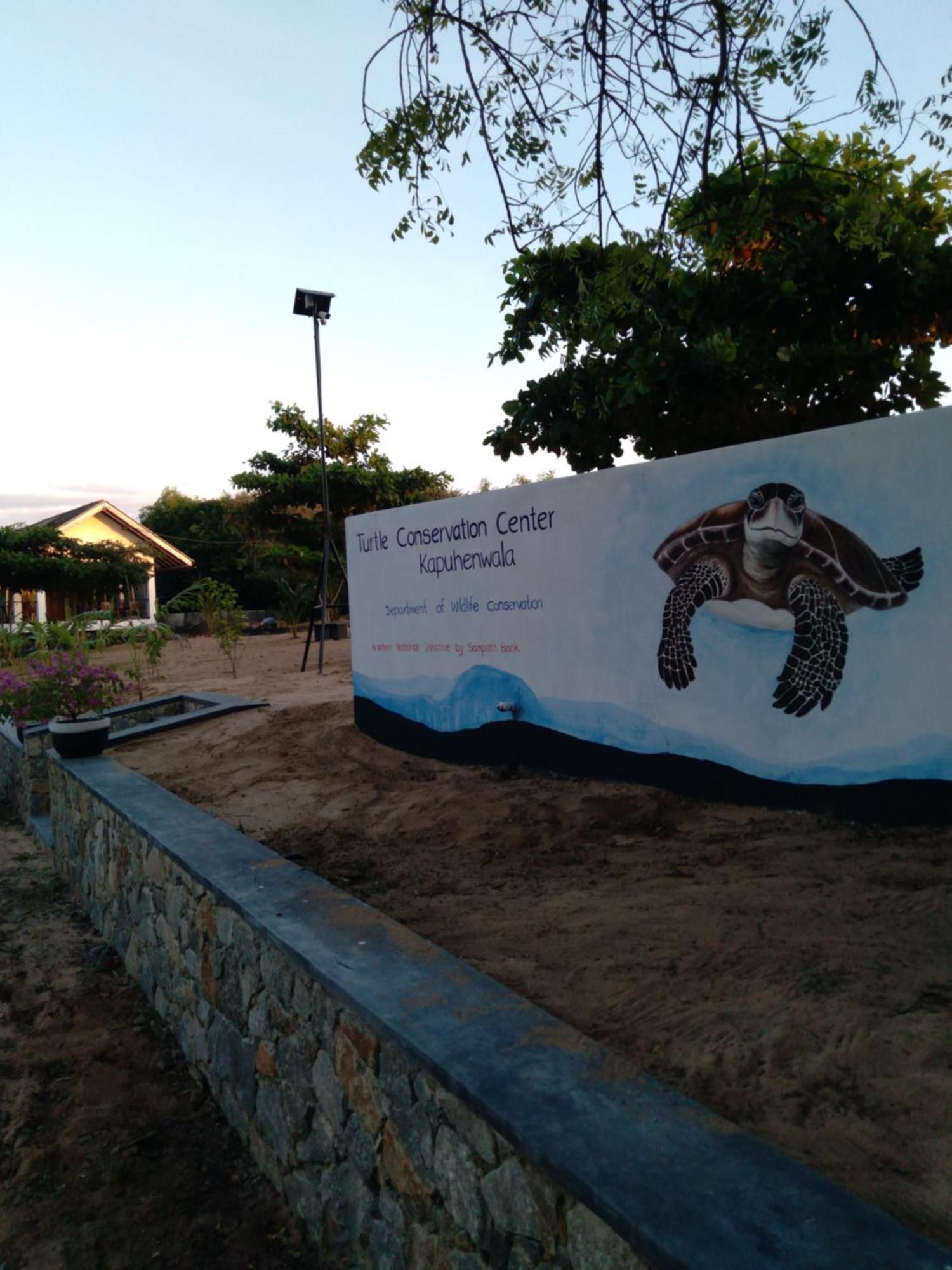 Jasmin Homestay Marakolliya Tangalle Esterno foto