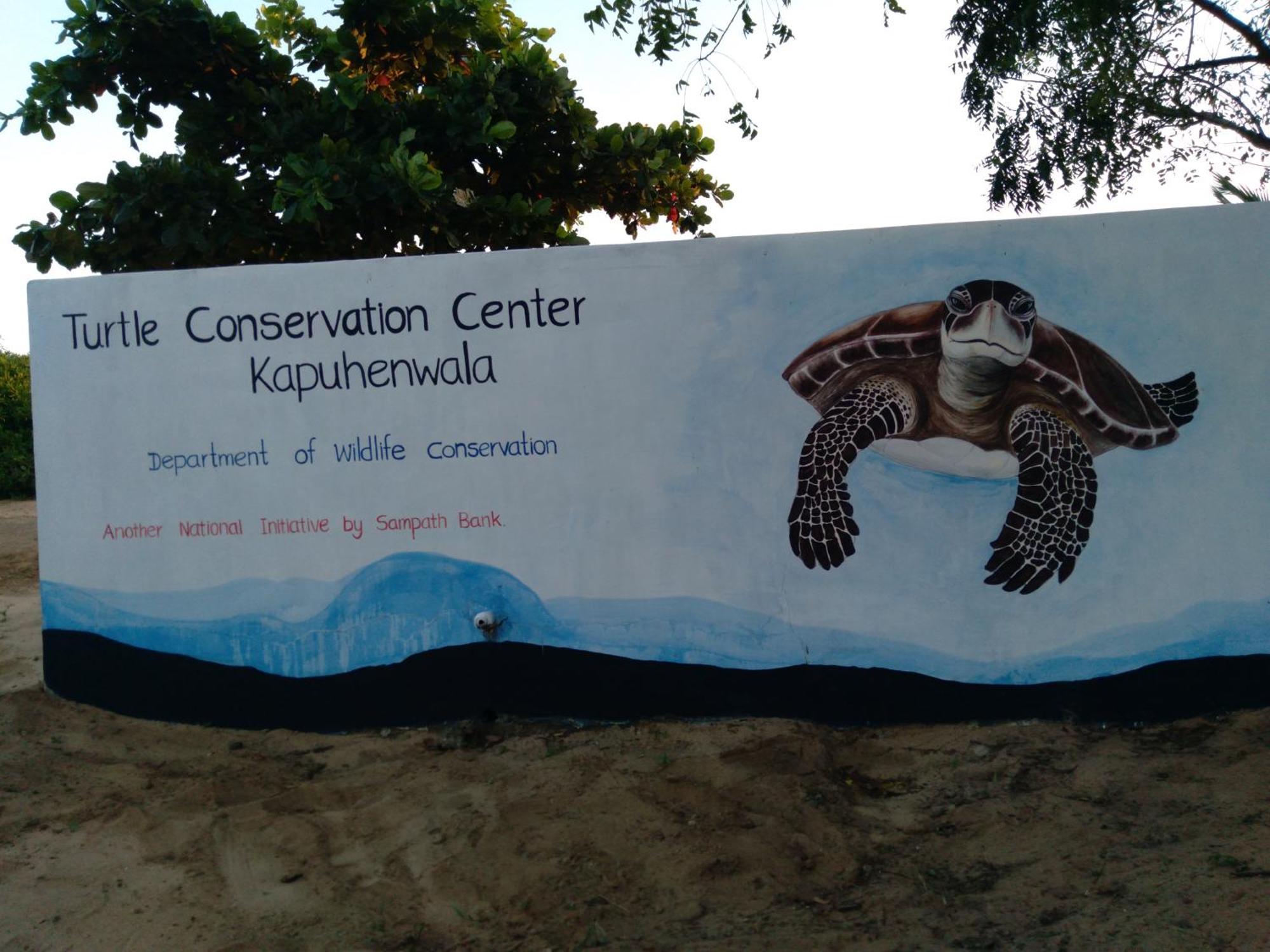 Jasmin Homestay Marakolliya Tangalle Esterno foto